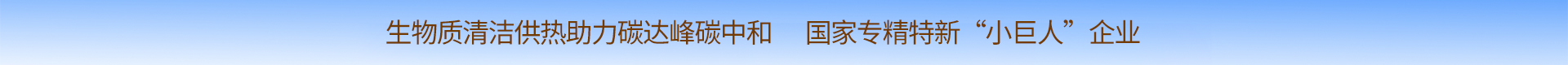 生物质锅炉,秸秆直燃锅炉,粮食烘干热风炉,海伦利民节能锅炉制造