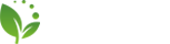 内存卡批发