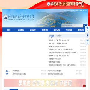 阳新县城发水务有限公司