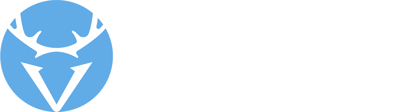 深圳市东方鹿城科技发展有限公司