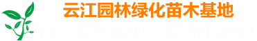 武汉云江园林绿化苗木基地苗木销售